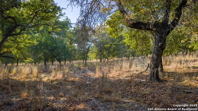 LOT 17 & 18 Sandstone Lane Seguin, TX 78155