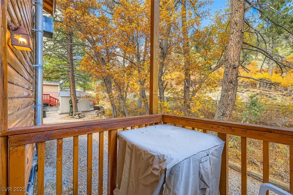 4458 Yellow Pine Avenue Mount Charleston, NV 89124