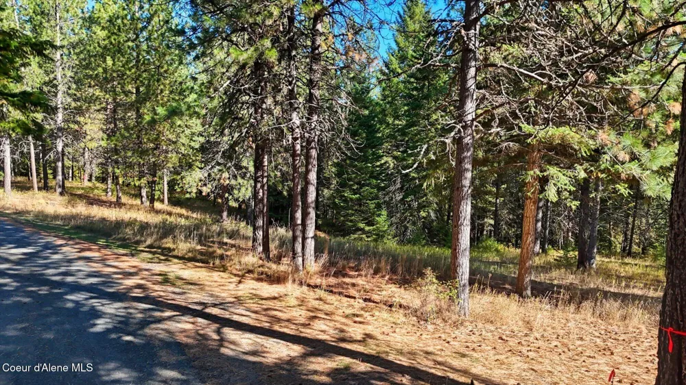 NKA W Barrett Drive Lot 2 Rathdrum, ID 83858