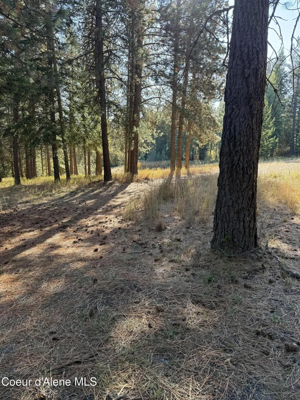 NKA W Barrett Drive Lot 2 Rathdrum, ID 83858