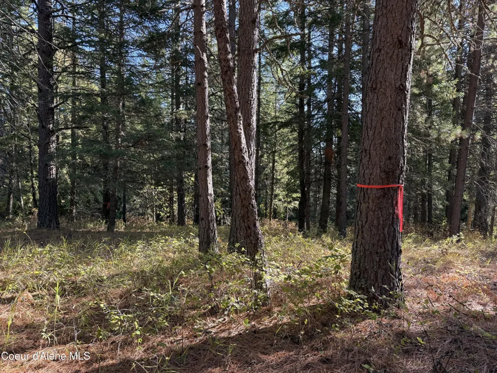 NKA W Barrett Drive Lot 2 Rathdrum, ID 83858