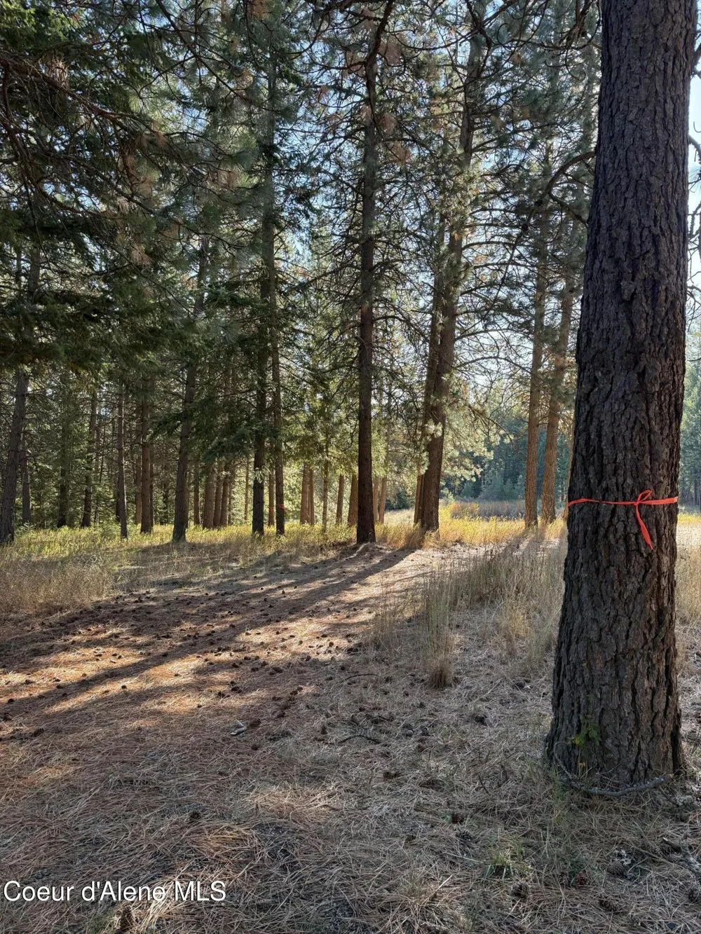 NKA W Barrett Drive Lot 2 Rathdrum, ID 83858