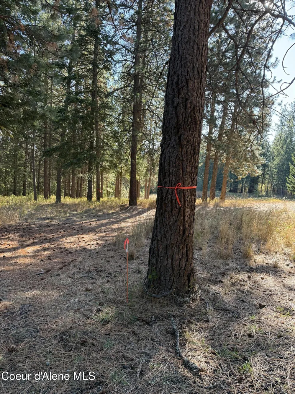 NKA W Barrett Drive Lot 2 Rathdrum, ID 83858
