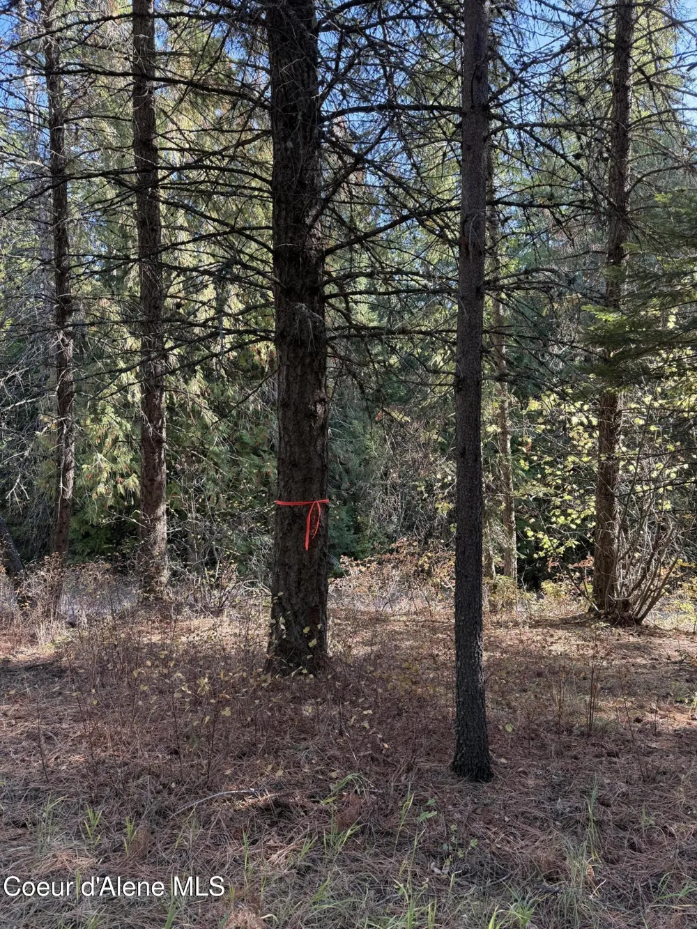 NKA W Barrett Drive Lot 2 Rathdrum, ID 83858