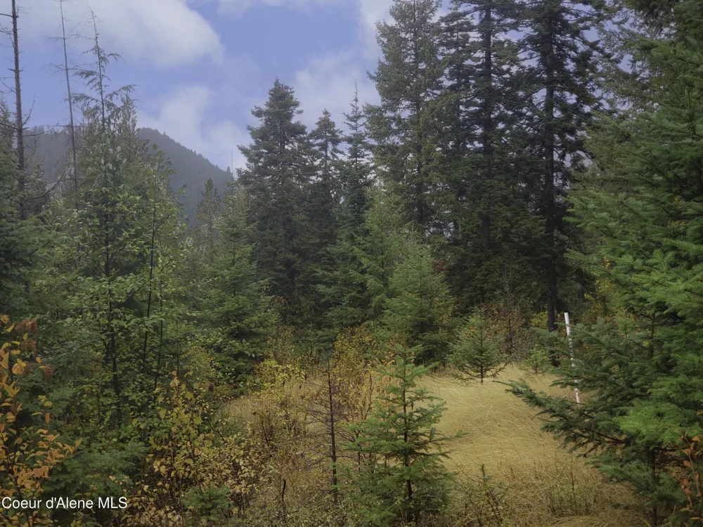 NKA White Cloud Drive Sandpoint, ID 83864