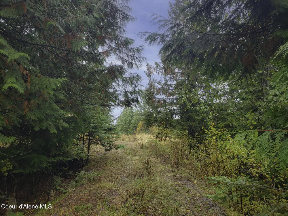 NKA White Cloud Drive Sandpoint, ID 83864