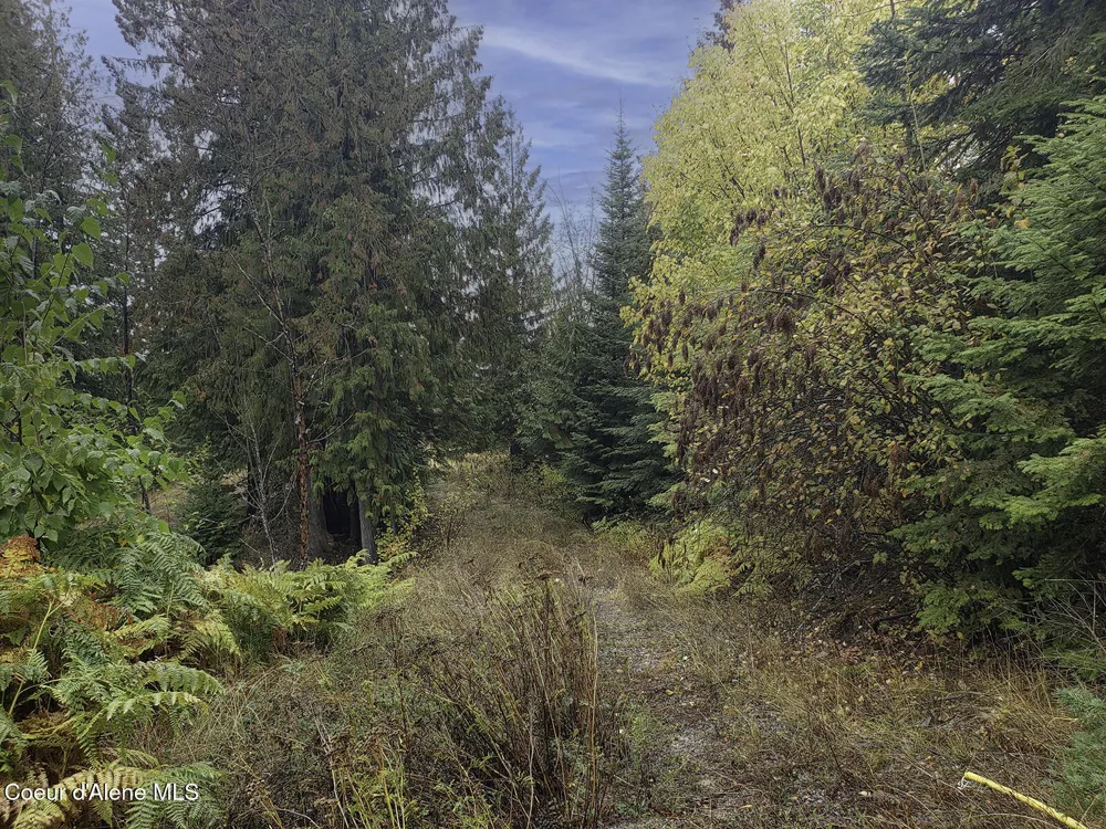 NKA White Cloud Drive Sandpoint, ID 83864
