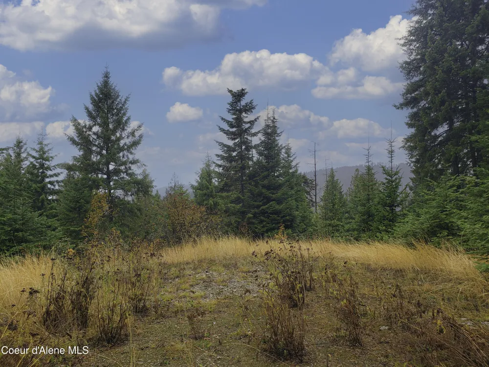 NKA White Cloud Drive Sandpoint, ID 83864