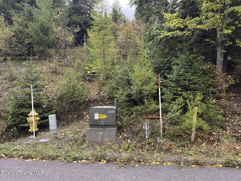 NKA White Cloud Drive Sandpoint, ID 83864