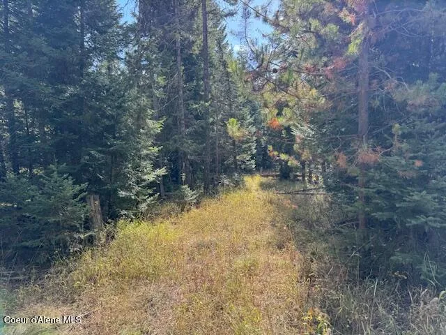 NKA Sanders Road St. Maries, ID 83861
