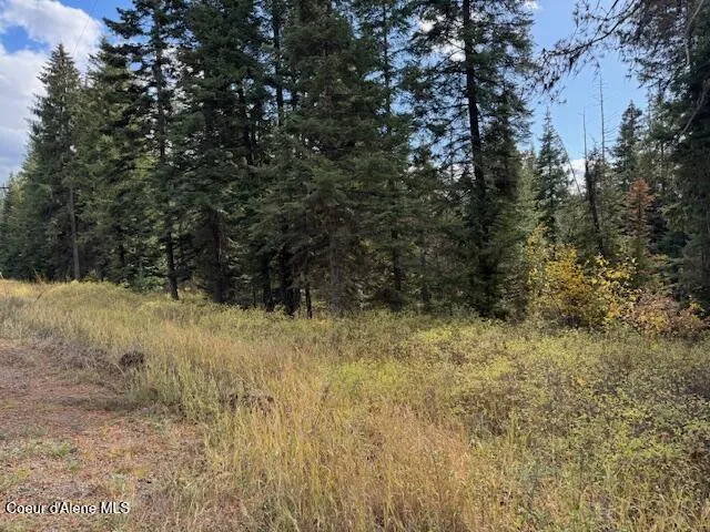 NKA Sanders Road St. Maries, ID 83861