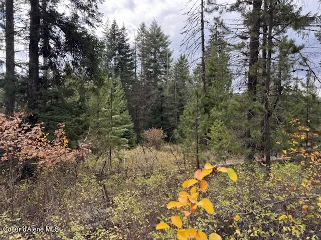 NKA Sanders Road St. Maries, ID 83861