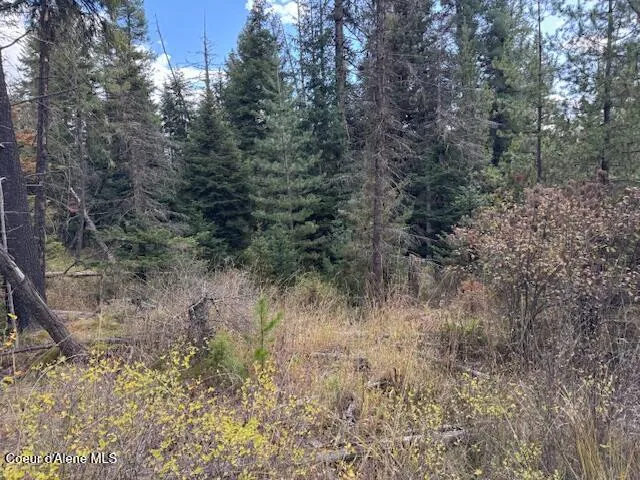 NKA Sanders Road St. Maries, ID 83861