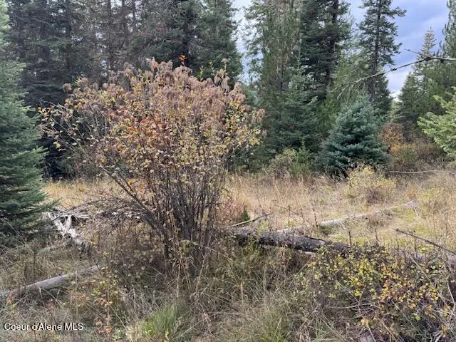 NKA Sanders Road St. Maries, ID 83861