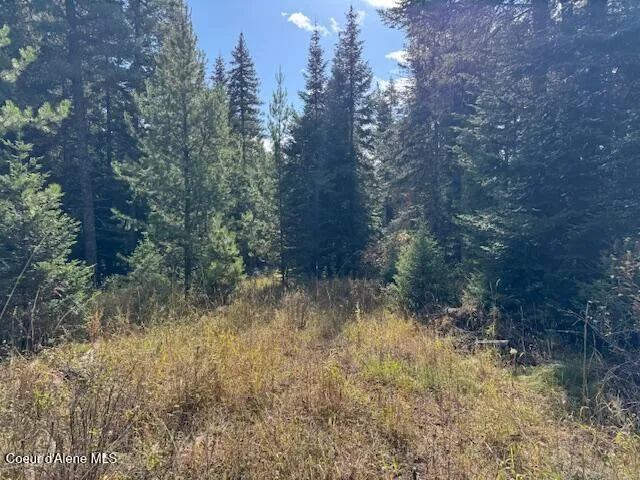 NKA Sanders Road St. Maries, ID 83861