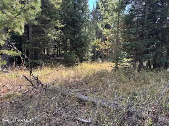 NKA Sanders Road St. Maries, ID 83861