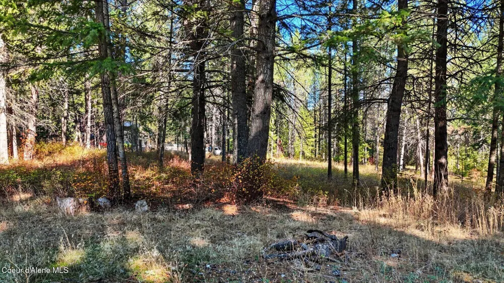 NKA W Barrett Dr Lot 1 Rathdrum, ID 83858