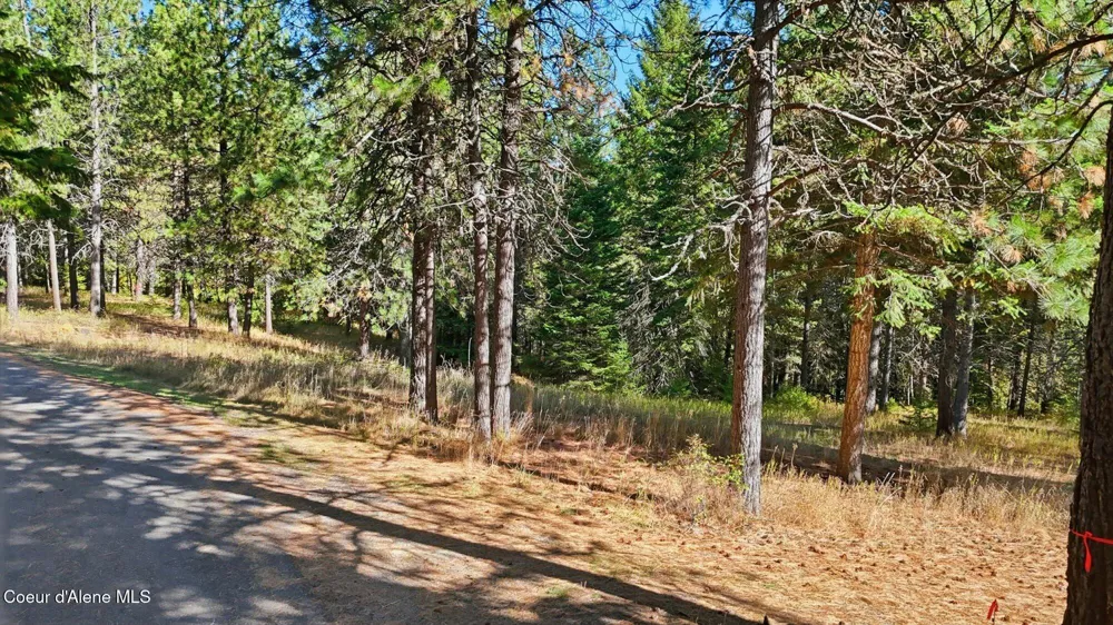 NKA W Barrett Dr Lot 1 Rathdrum, ID 83858