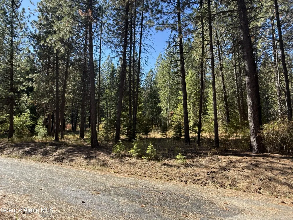 NKA W Barrett Dr Lot 1 Rathdrum, ID 83858