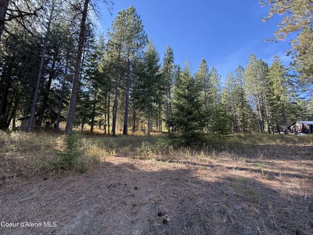 NKA W Barrett Dr Lot 1 Rathdrum, ID 83858