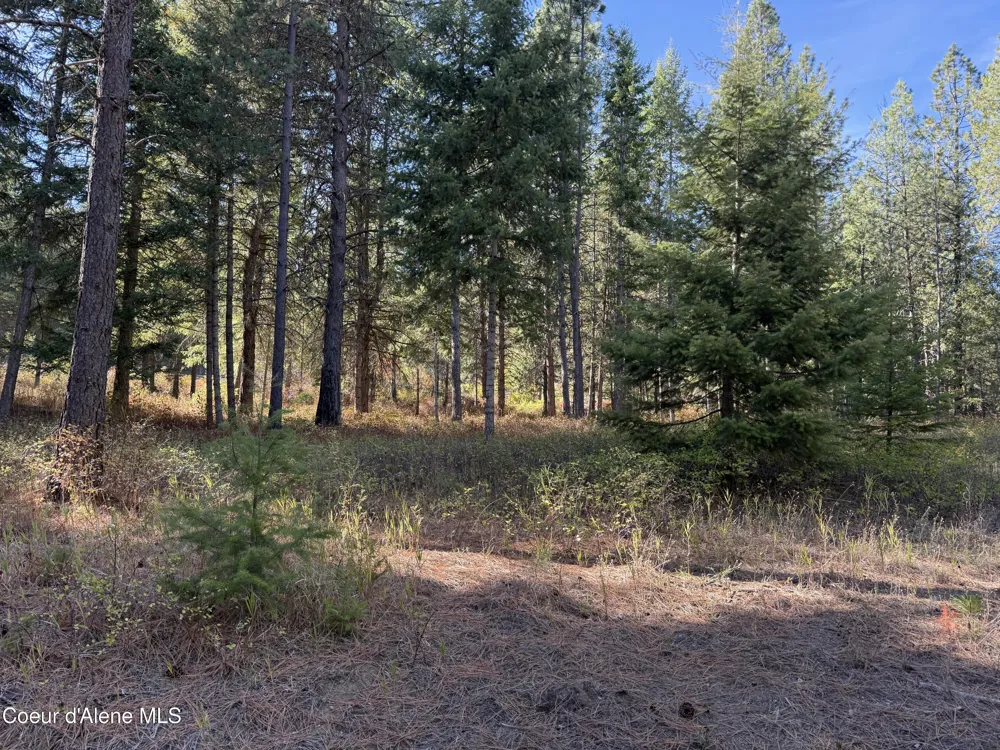 NKA W Barrett Dr Lot 1 Rathdrum, ID 83858