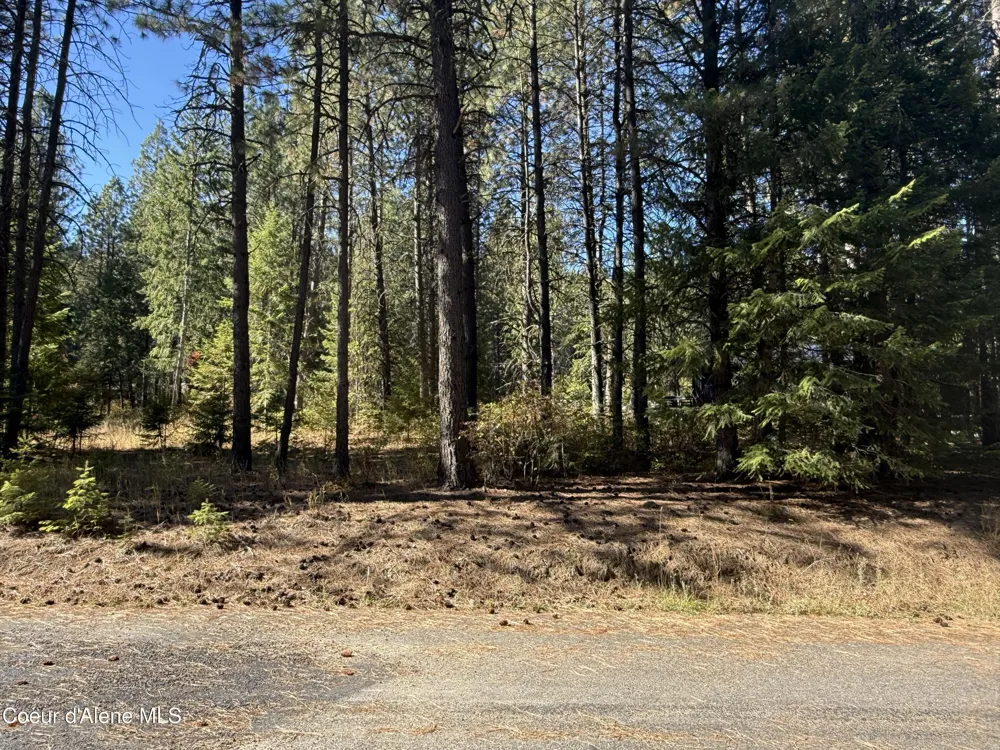NKA W Barrett Dr Lot 1 Rathdrum, ID 83858