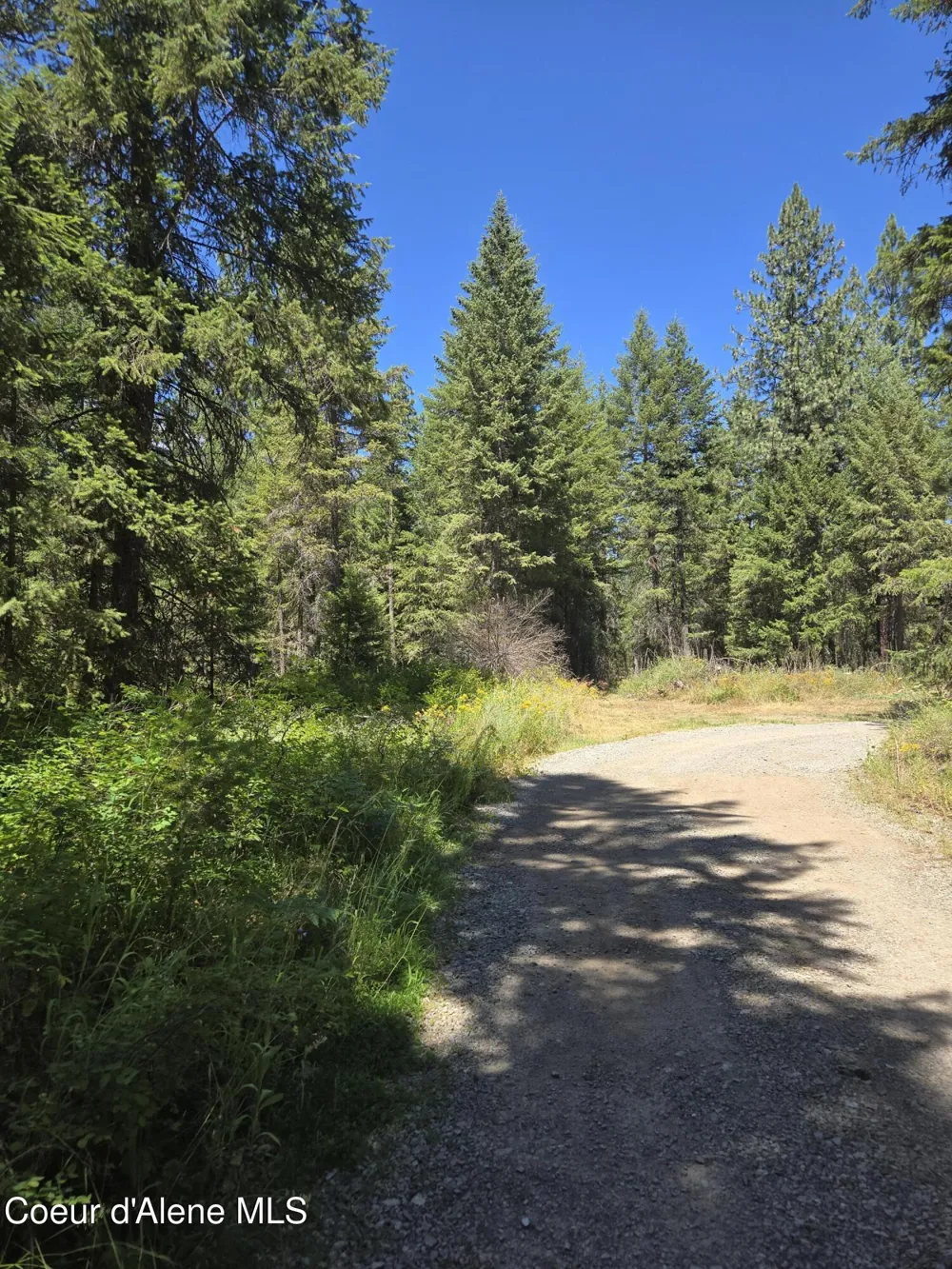 512 Everett Huff Road Oldtown, ID 83822