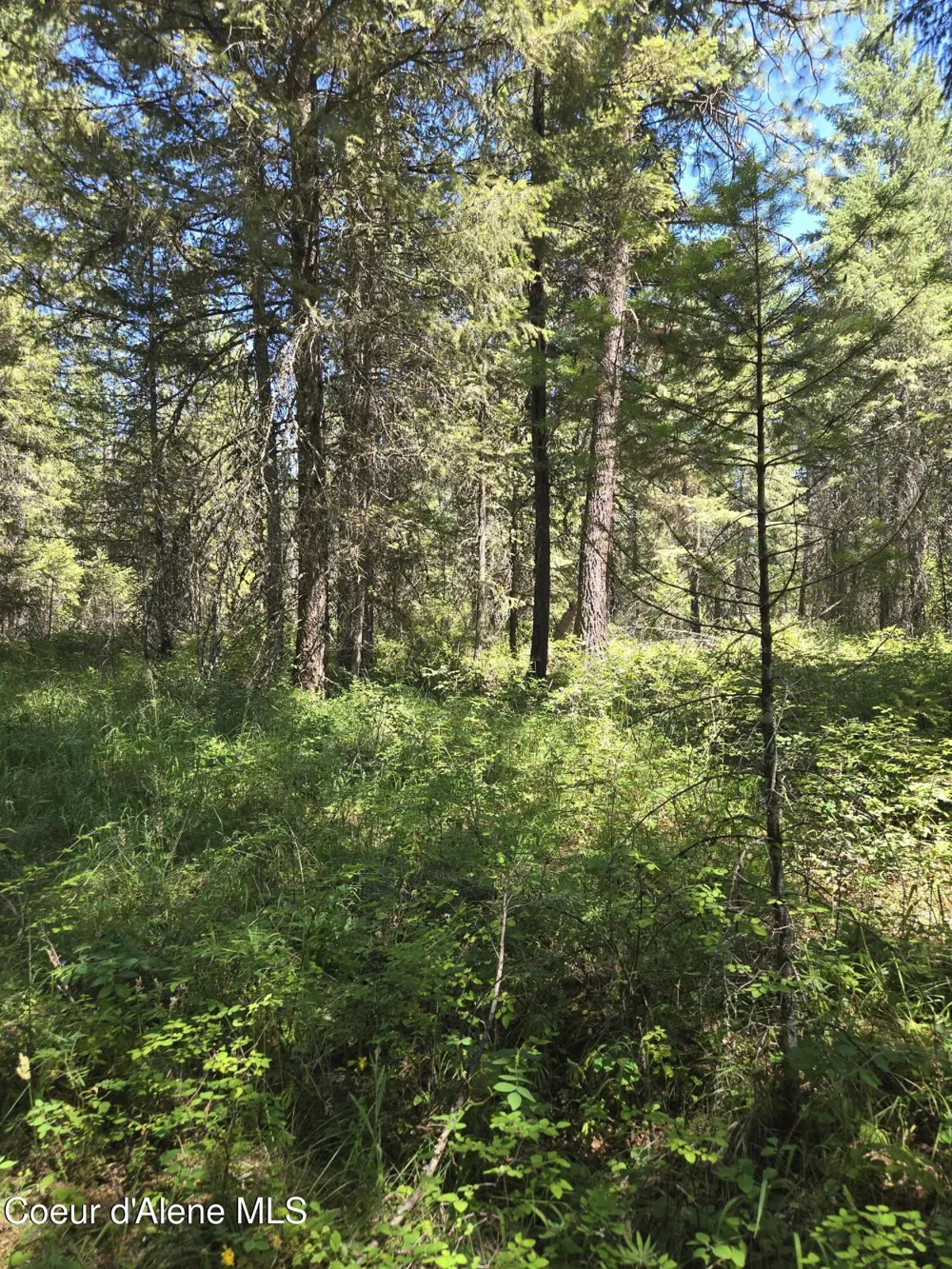 512 Everett Huff Road Oldtown, ID 83822