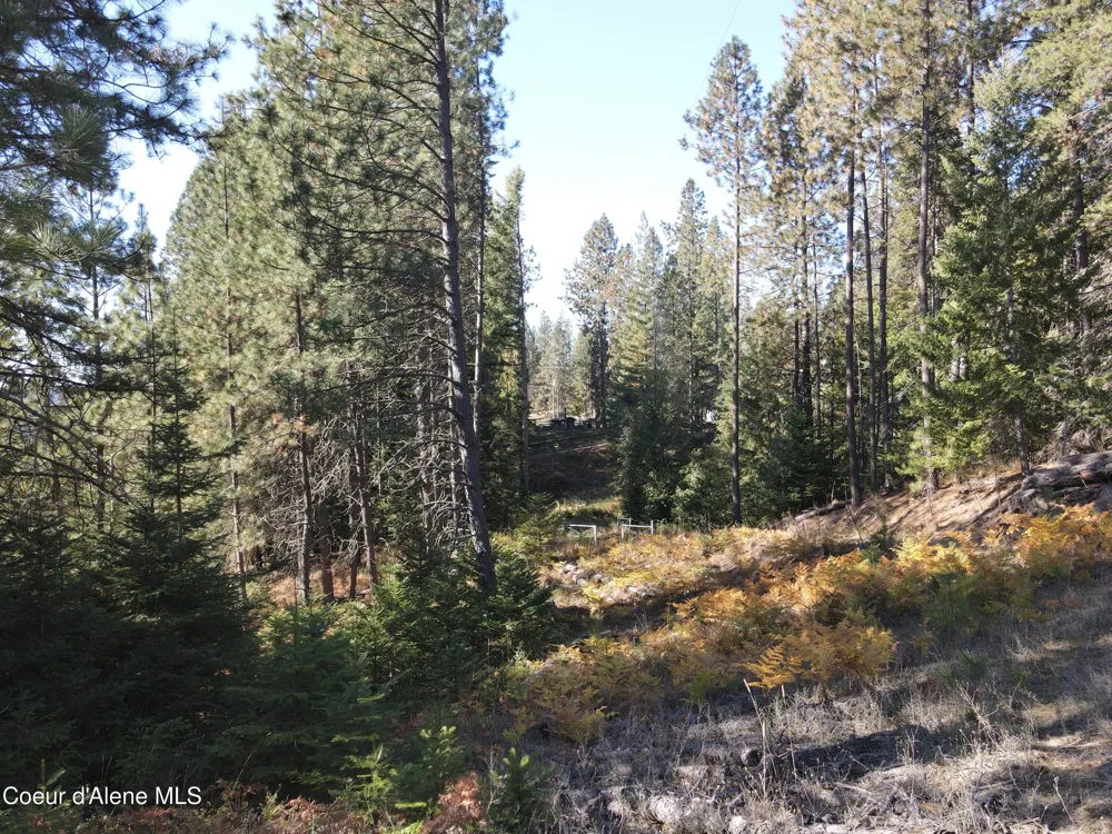 NKA E Hayden Lake Rd Hayden, ID 83835