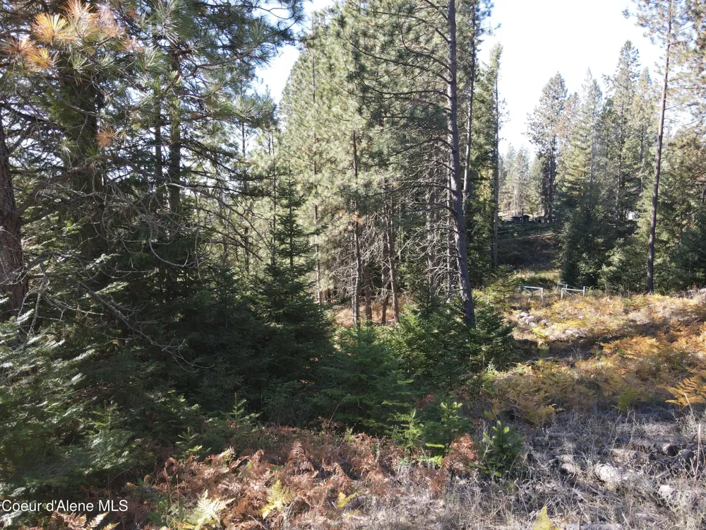 NKA E Hayden Lake Rd Hayden, ID 83835