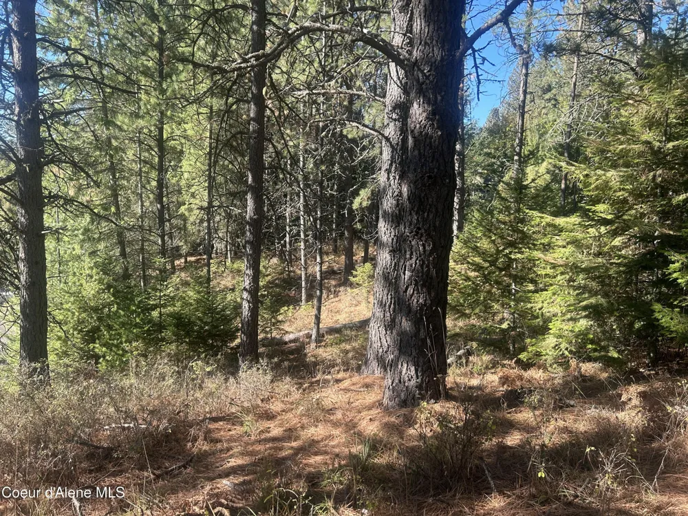 NKA E Hayden Lake Rd Hayden, ID 83835