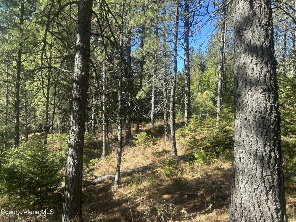 NKA E Hayden Lake Rd Hayden, ID 83835