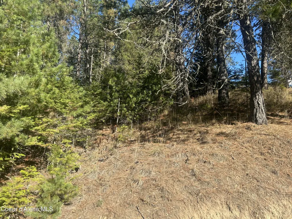 NKA E Hayden Lake Rd Hayden, ID 83835