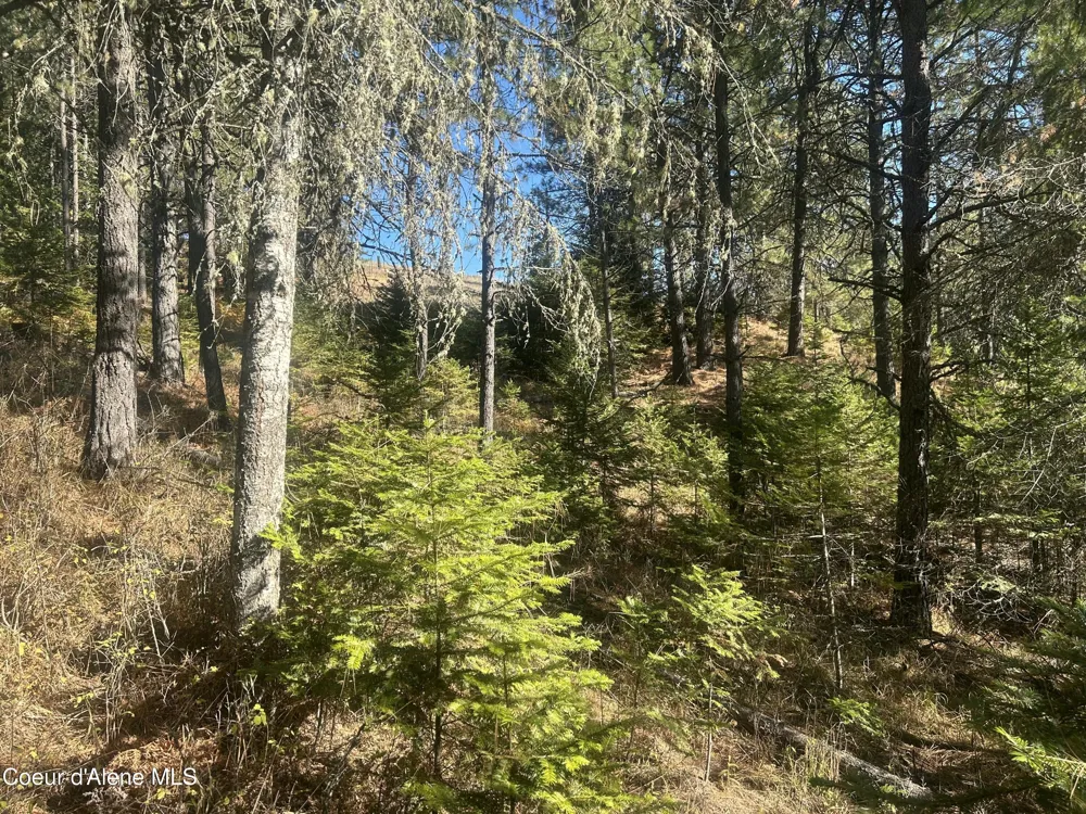 NKA E Hayden Lake Rd Hayden, ID 83835