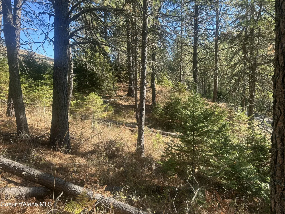 NKA E Hayden Lake Rd Hayden, ID 83835