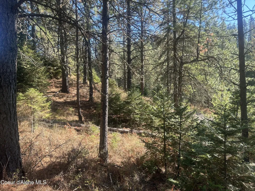 NKA E Hayden Lake Rd Hayden, ID 83835