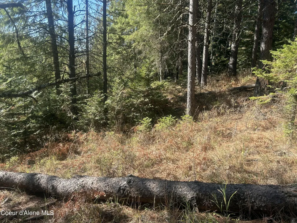 NKA E Hayden Lake Rd Hayden, ID 83835