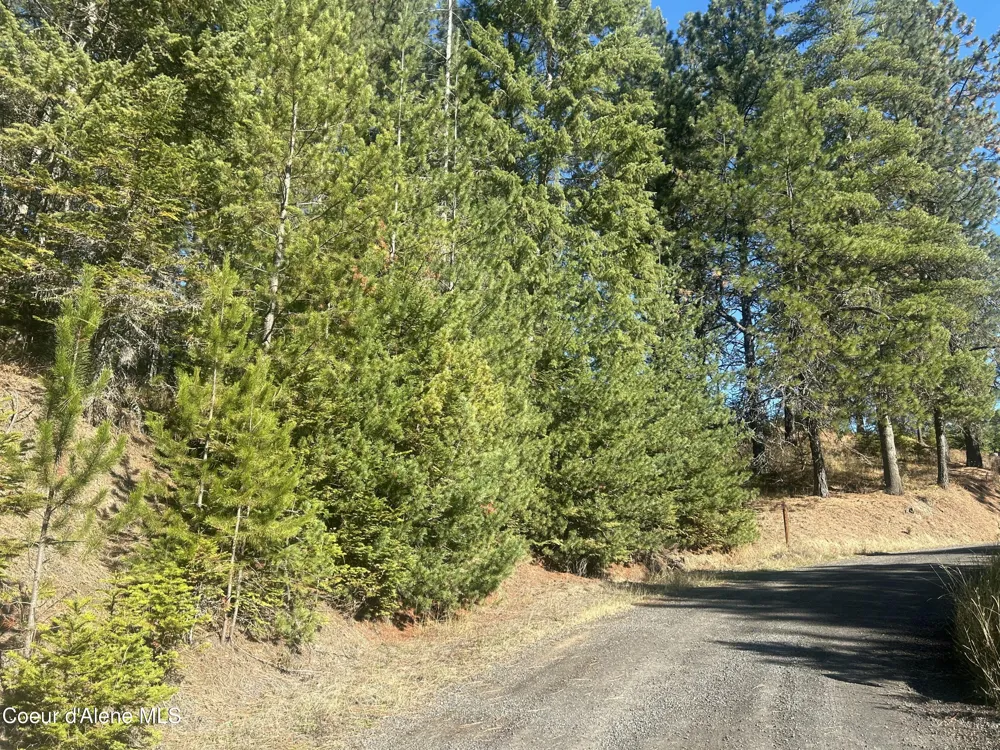 NKA E Hayden Lake Rd Hayden, ID 83835