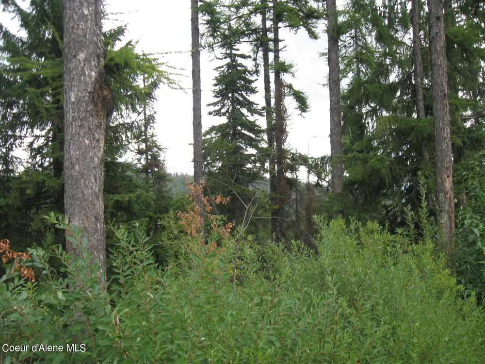 NKA Parallel Run BLK 6 LOT 9A Sandpoint, ID 83864