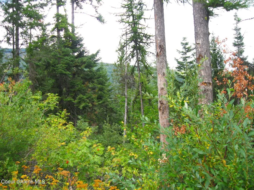 NKA Parallel Run BLK 6 LOT 9A Sandpoint, ID 83864