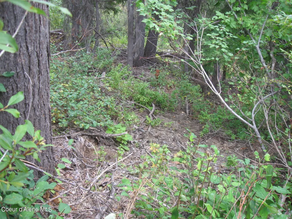 NKA Parallel Run BLK 6 LOT 9A Sandpoint, ID 83864