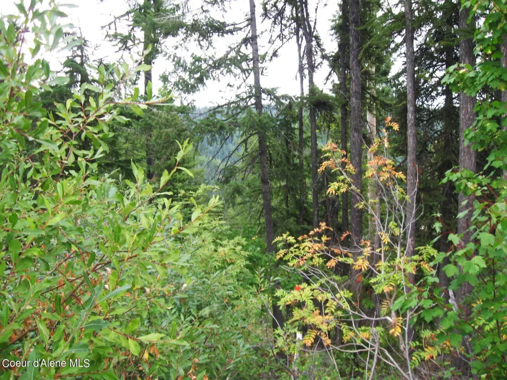 NKA Parallel Run BLK 6 LOT 9A Sandpoint, ID 83864