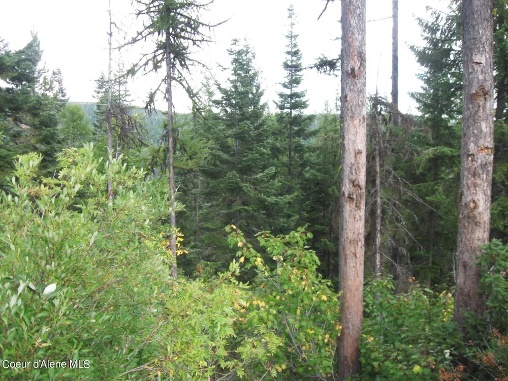 NKA Parallel Run BLK 6 LOT 10 Sandpoint, ID 83864