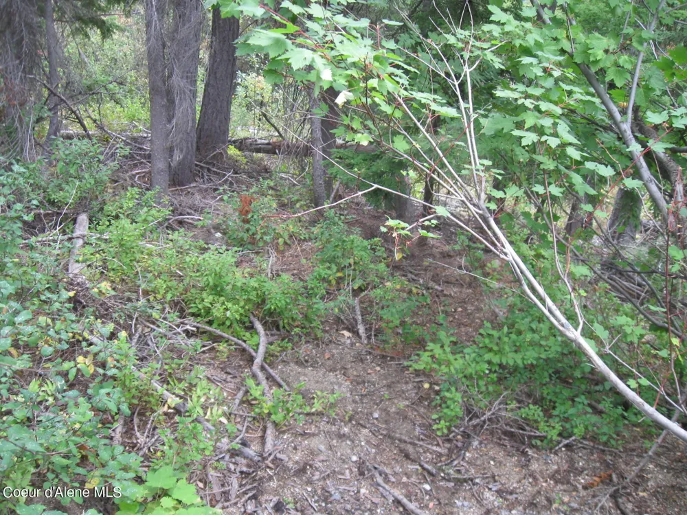 NKA Parallel Run BLK 6 LOT 10 Sandpoint, ID 83864