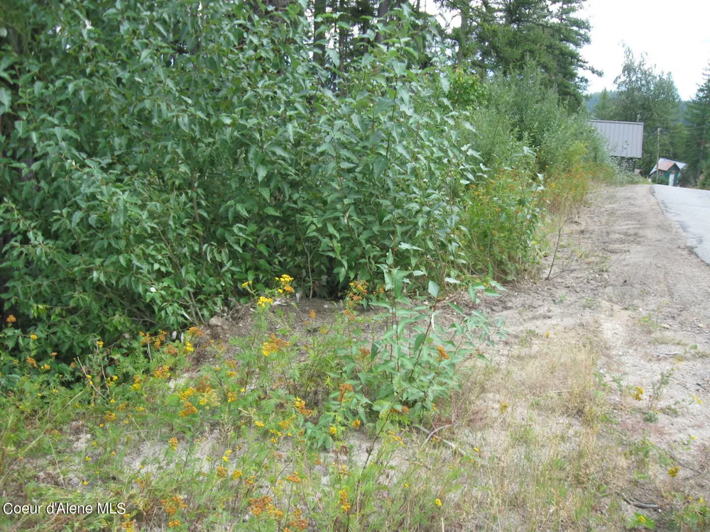 NKA Parallel Run BLK 6 LOT 10 Sandpoint, ID 83864