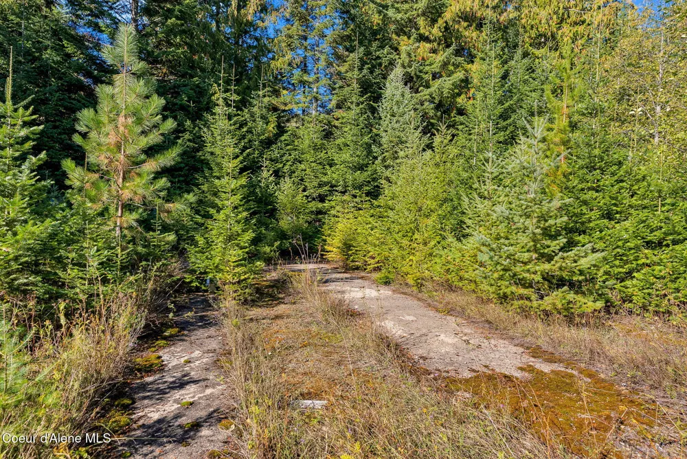 NKA Talache Road Sagle, ID 83860