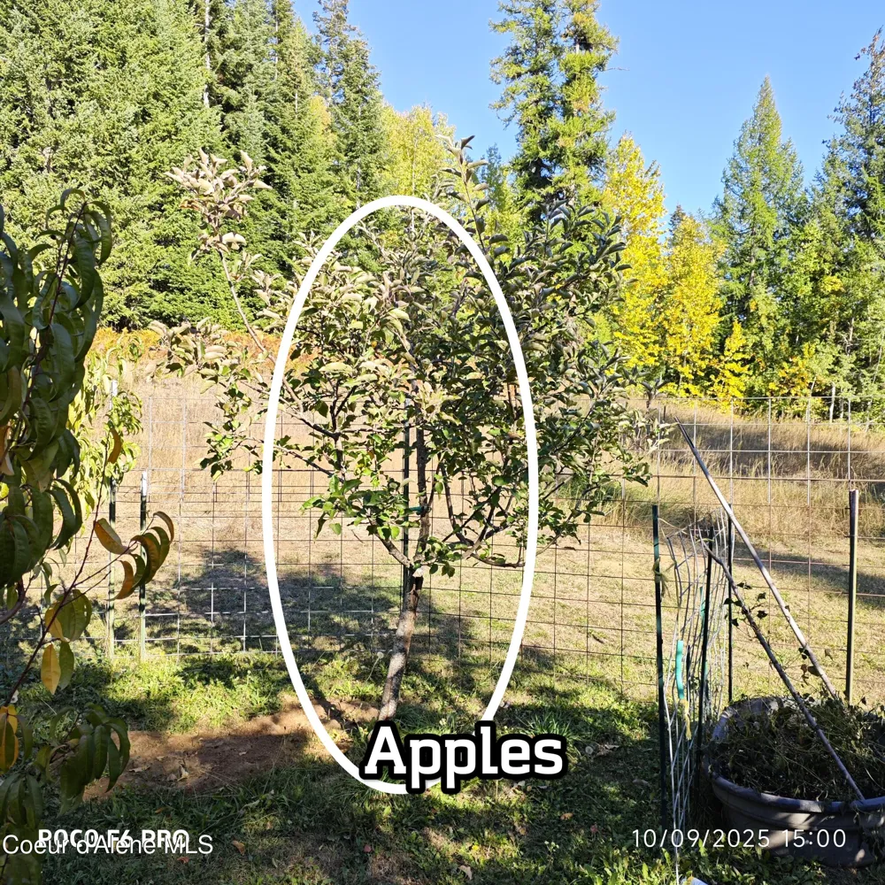 55 Trotter Lane Sandpoint, ID 83864
