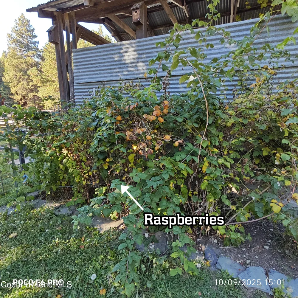 55 Trotter Lane Sandpoint, ID 83864