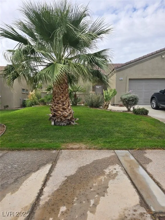 463 Hagens Alley Mesquite, NV 89027