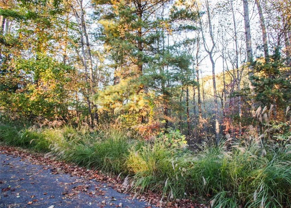 TBD Lot 17 Chestnut Falls Drive Millers Creek, NC 28651